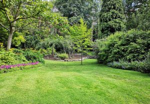 Optimiser l'expérience du jardin à Lutilhous